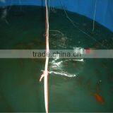 Collapsible Tank for Fish | Tanks to Store and Rear Fish thumbnail-3