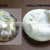 Seasoning Tray thumbnail-1