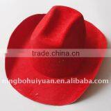 Velour Cowboy Hat