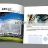 Illustrated Book With Perfect Binding Paper Flyers Paper Posters