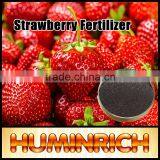 Huminrich High Utilization Boosts Seed Germination 20%Fa Potassium Humate Spray Dried Powder thumbnail-1