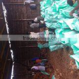 Cocounts Organic Fresh thumbnail-5