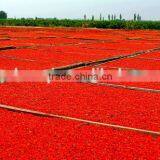 180-750 A Grade Dried Gojiberry From Ningxia thumbnail-1
