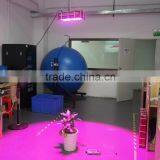 XQD Cob Led Grow Light Bulb Led Par Hydroponic Full Spectrum thumbnail-5