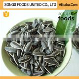 Chinese Original New Crop Sunflower Seeds