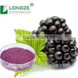 Good Water Soluble Anti-oxidant Blackberry Fruit Powder