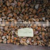 China Seafood Exporter Frozen Mussel Boiled Meat thumbnail-3