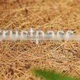 Coir needle felt mat for Mulching