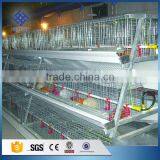 30 Years' Factory Supply Automatic Chicken Broiler Cages thumbnail-3