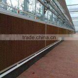 Water Curtain thumbnail-4