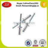 Costom Stainless Steel Rivet Accroding Your Drawing thumbnail-5