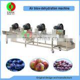 Hot Selling Industry Air Blow Dehydration Machine for Vegetable and Fruits,automatic Air Blow Drying Conveyor thumbnail-2