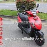 1000w Power and 6-8h Charging Time electric scooter ( ELS-06B)