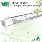 VANQLED G13 Led Grow Lamp Tube for Plant Factory With CE,RoHS Approved,one-end Plug Connecting thumbnail-2