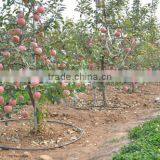Garden Watering Hoses Round Emitters Irrigation Drip Pipe thumbnail-4