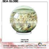 Glass Ball Home Decoration Free Glass Stand YSG12-GN thumbnail-1