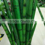 Artifiical Fake Ottelia Alismoides Potted Plant thumbnail-5