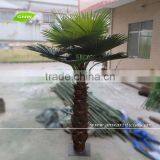 GNW APM028 Best Quality 20ft High Coconut Palm Tree For Park Outdoor Use thumbnail-3