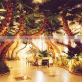 Beijing Palm Technique Development Co., Ltd. company overview - view 1 thumbnail