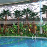 Established Artificial Washington Palm Trees Home For Sale Artificial Plants thumbnail-2