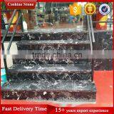 2017 Trend Design Polished Century Black Ice Dapple Marble Stairs thumbnail-5
