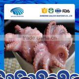 Frozen Baby Octopus in Flower Ball Shape With Export Grade thumbnail-1