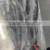 Spanish Mackerel Trawl thumbnail-1