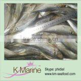 Good Sea Frozen Horse Mackerel Exporter thumbnail-1