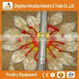 Hot Sale in China Poultry Farming Equipmentl -flooring Feed Pan and Drinking Nipple thumbnail-1