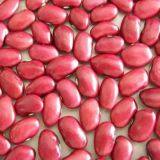 Dark Red Kidney Bean thumbnail-1