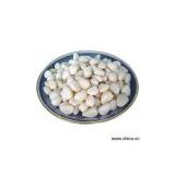 Sell Peeled Garlic thumbnail-1