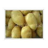 Top Grade New Crop Small Fresh Holland Potato Vegetable Long Shaped 125g thumbnail-1