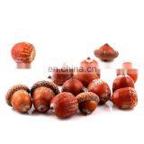 Acorn Shelling Machine/oak Seed Shelling Machine/oak Seed Huller thumbnail-4