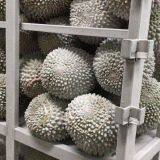 Blast Tuna Fish Cold Room