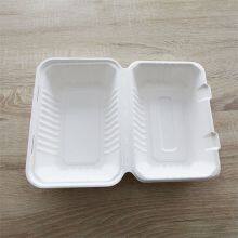 Recyclable Takeaway Bagasse Food Lunch Box thumbnail-1