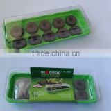 Garden plastic seedling tray /plastic seed tray--RGR1069