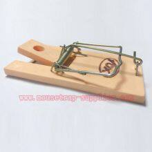 Reusable Plastic Mouse Snap Spring Trap Rat Rodent Easy Set Quick Killer thumbnail-2