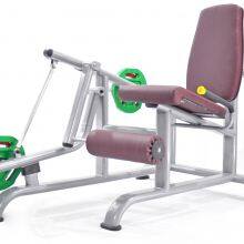 Good Price Leg Extension Fitness Machine / Body Building