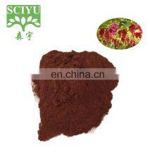 Antioxidant Product Grape Seed Extract Powder Proanthocyanidins 95%