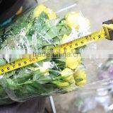 Durable Sprayed Rose Gold Rose Valentines Gift thumbnail-2