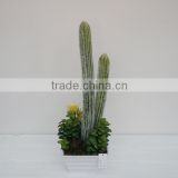 Hot sale decorative tall artificial plants series artificial succulent/cactus arrangement wholesale from China
