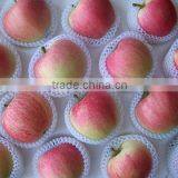 EFW-75 EPE Foam Fruit Net Making Machine thumbnail-6