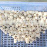 Separate Fruit Skin and Pulp Machine/ Lychee And Longan Stripper/lychee Peeling thumbnail-4