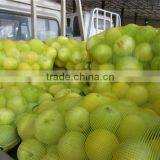 PE Mesh Bags for Orange Apple thumbnail-3
