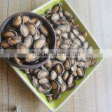 Organic Raw Watermelon Seeds for Sale, Whole Sale, Good Price thumbnail-3