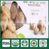 Mushrooms Product Type and Shiitake Mushroom Growing Seed Spawn Log thumbnail-2