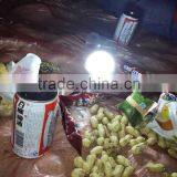 High Lumen Emergency Led Bulb 4W 7W Warm White 3000K Portable Led Bulb AC90-260V thumbnail-2