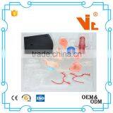 V-HM10 4D MASTER Female Uterus Model thumbnail-5