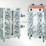 Cap Mould Making thumbnail-1