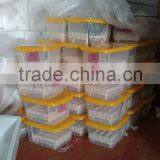 2014 Top Selling 9 Eggs Mini Quail Egg Incubator for Sale With CE Approved ZH-9(12V) thumbnail-4